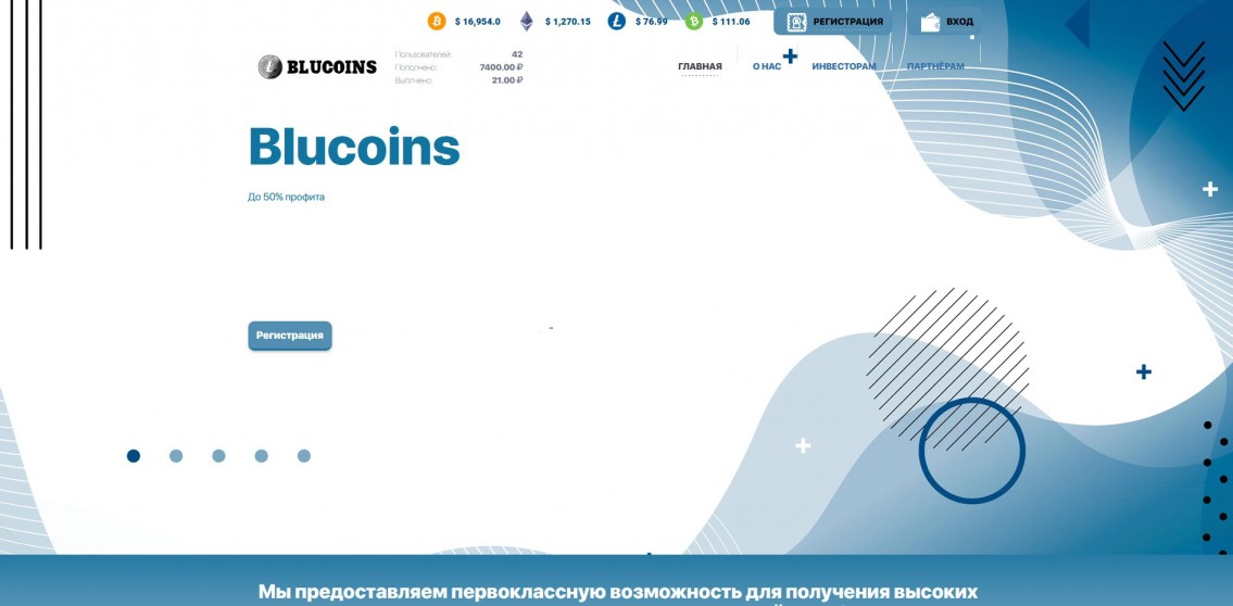 BluCoins