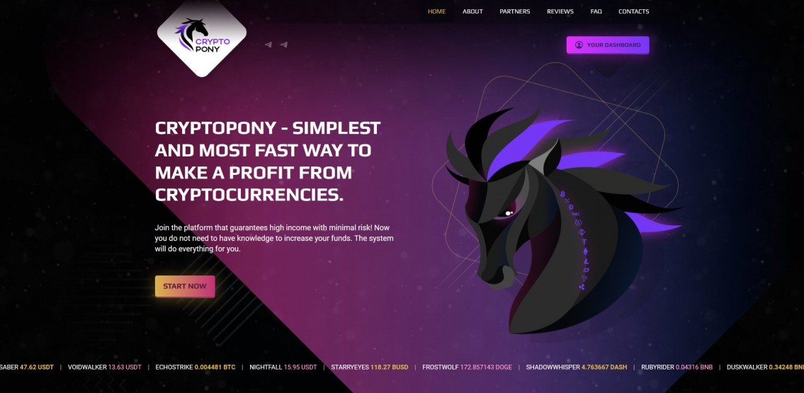 Cryptopony